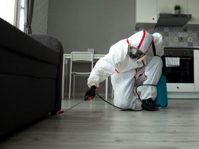 Désinfection des logements insalubres 